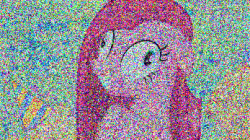 Ponies & A Random Animations