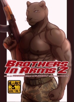 Brothers in Arms 2