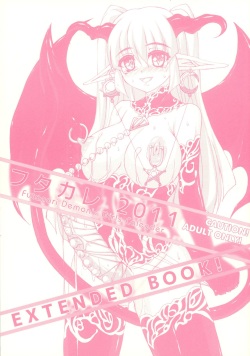 Futakare 2011 EXTENDED BOOK!